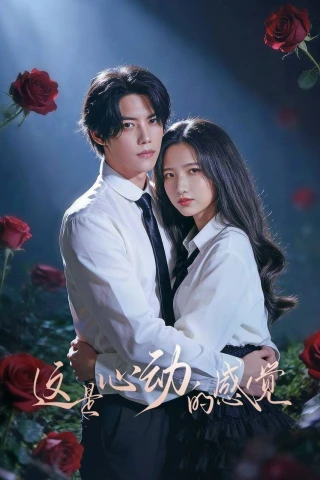Cảm Giác Khi Rung Động Là Đây (This Is The Feeling Of Love) [2026]