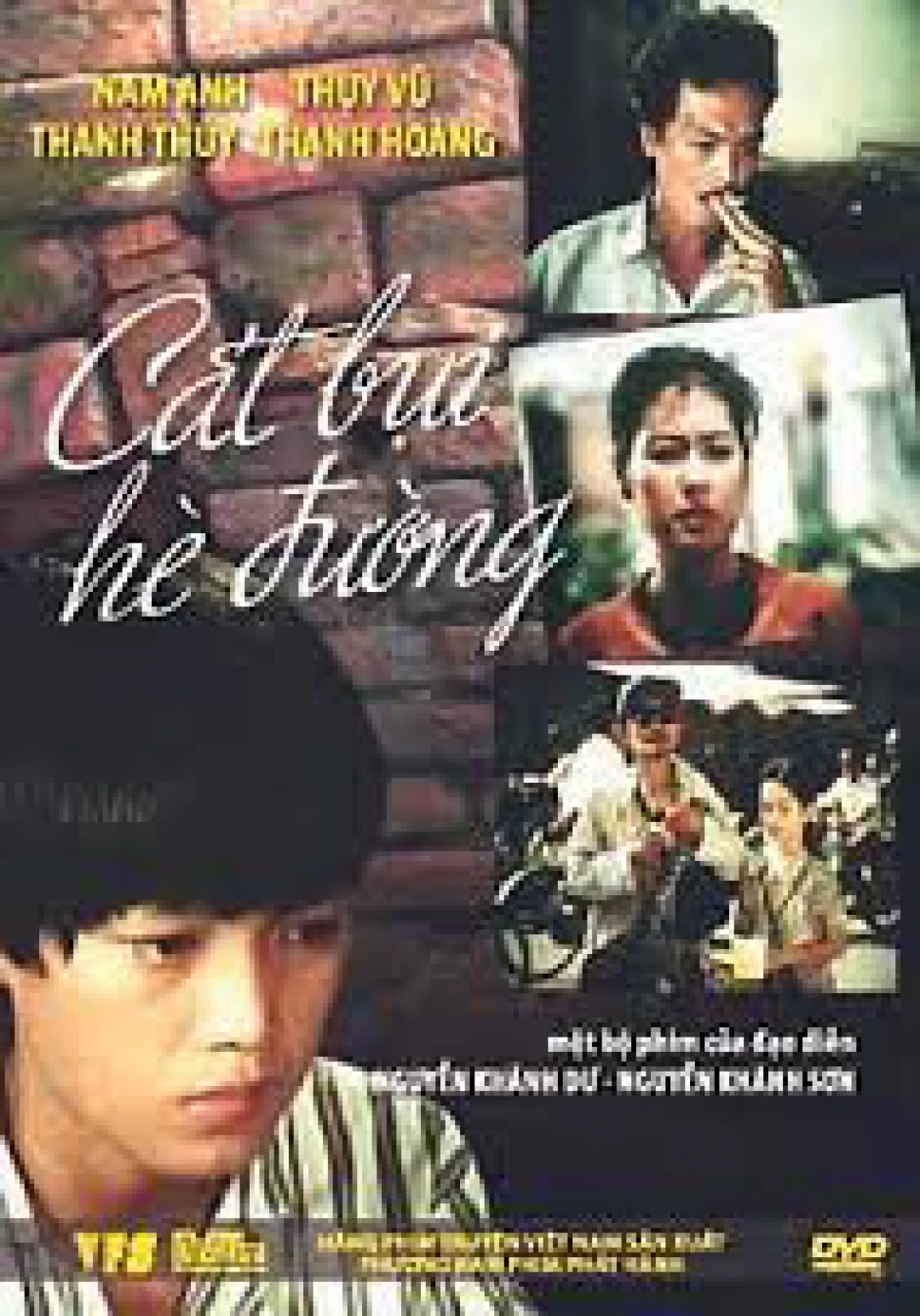 Cát Bụi Hè Đường
