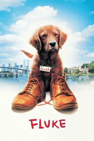 Chú Chó Fluke (Fluke) [1995]