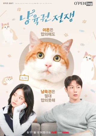 Cuộc Chiến Giành Quyền Nuôi Mèo (Cat Custody War) [2025]