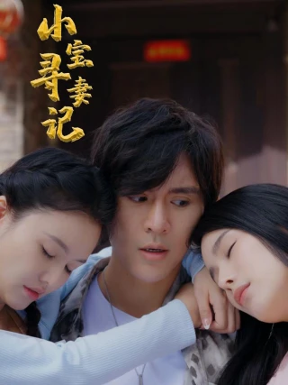 Cuộc Tìm Vợ Của Tiểu Bảo (小宝寻妻记) [2025]