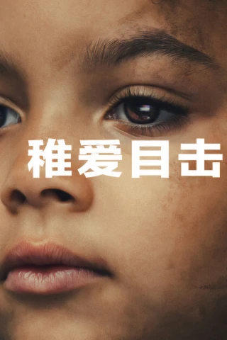 Nhân Chứng Duy Nhất (The Witness) [2026]