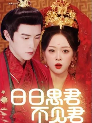 Nhớ Em Mỗi Ngày (日日思君不见君) [2025]
