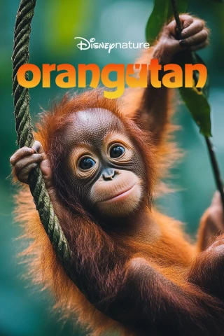 Orangutan (Orangutan) [2026]