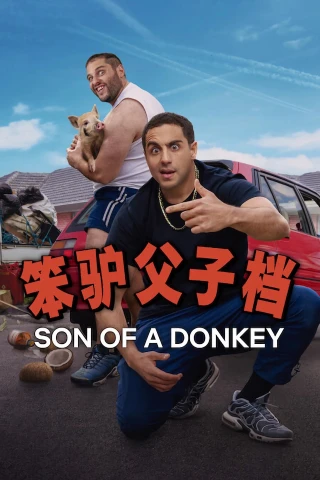Son of a Donkey (Son of a Donkey) [2025]