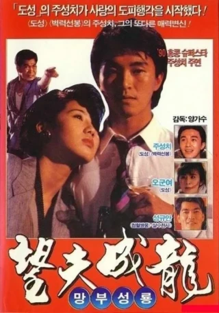 Tình Yêu Và Cuộc Đời (Love Is Love) [1990]